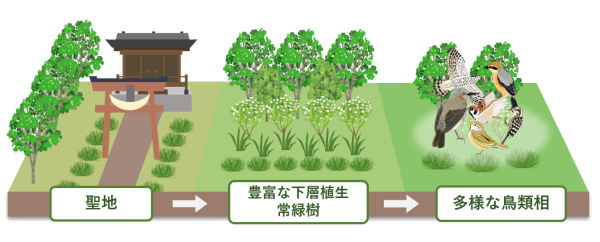 理工学部教授 高田 まゆら：都市の神聖な緑地が支える鳥類の多様性 ～神社仏閣・歴史公園に注目して観測～