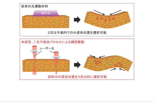 研究開発機構 機構准教授 宇部 達ら：光で動くプラスチックの多彩な変形を実現