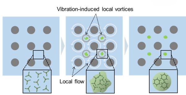 理工学部教授 鈴木 宏明と早川 健：均一サイズの生体分子凝集体の生成・集積制御を実現