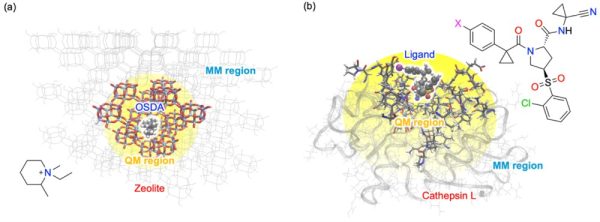 理工学部教授 森 寛敏： 量子分子シミュレーションを「経験」から「予測科学」へ  ― 電子状態応答に基づく新しい QM/MM 設計原理を確立 ―