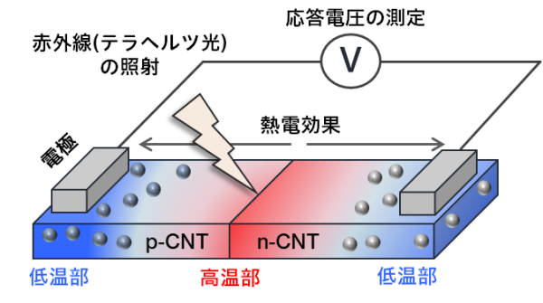 理工学部教授 河野 行雄・助教 李 恒：半導体カーボンナノチューブで冷却不要の高感度赤外線センサを開発